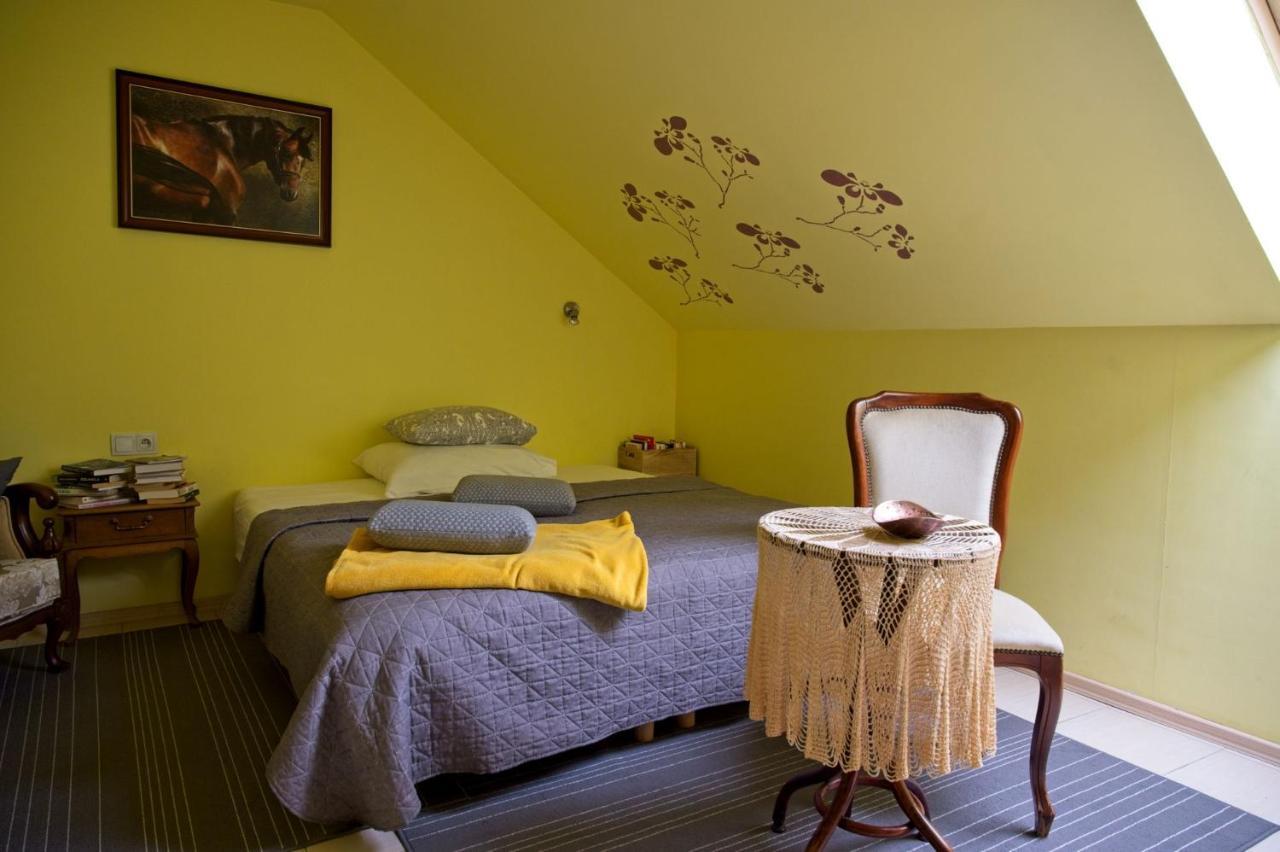 Medison Family Boutique B&B キェルツェ エクステリア 写真